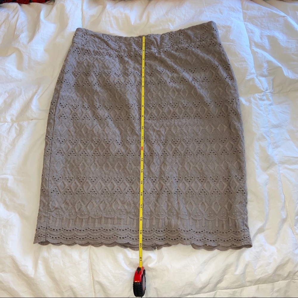 Ann Taylor Skirt